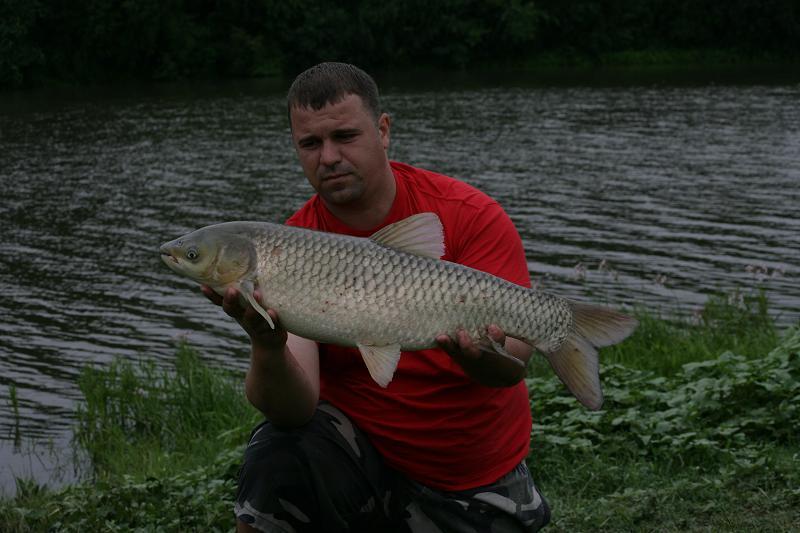 Magic Lakes - Milotina